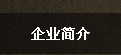企业简介