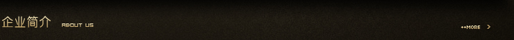 企业简介